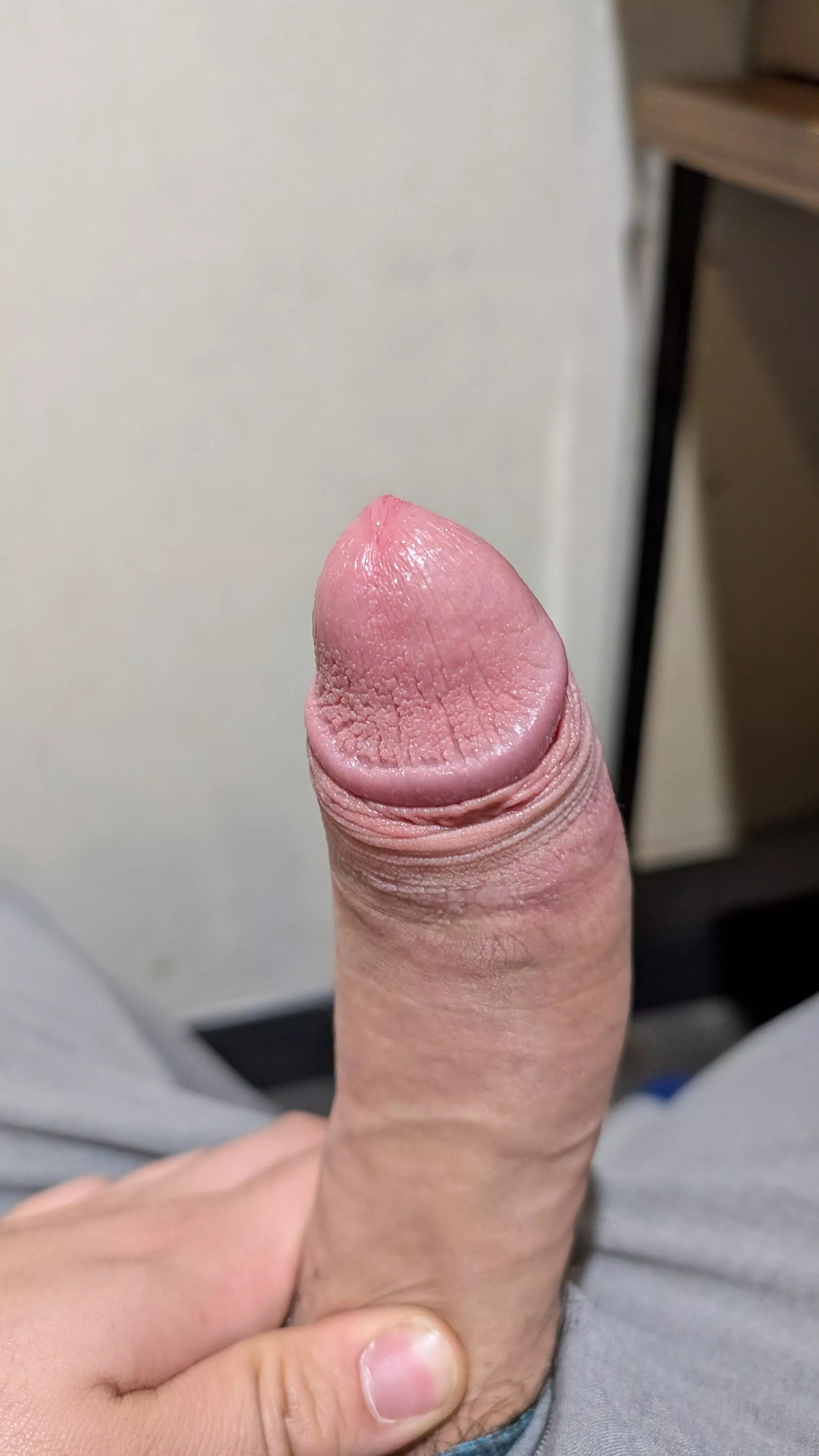 Looking for some fun