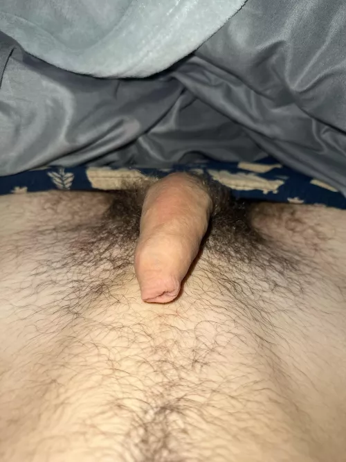 Morning cock
