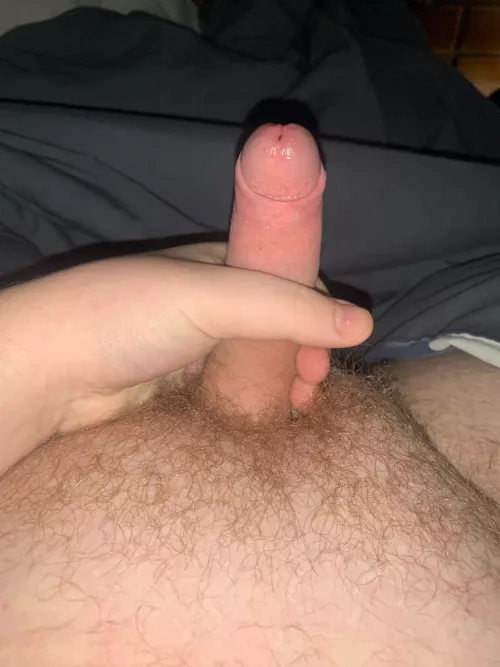 Morning wood