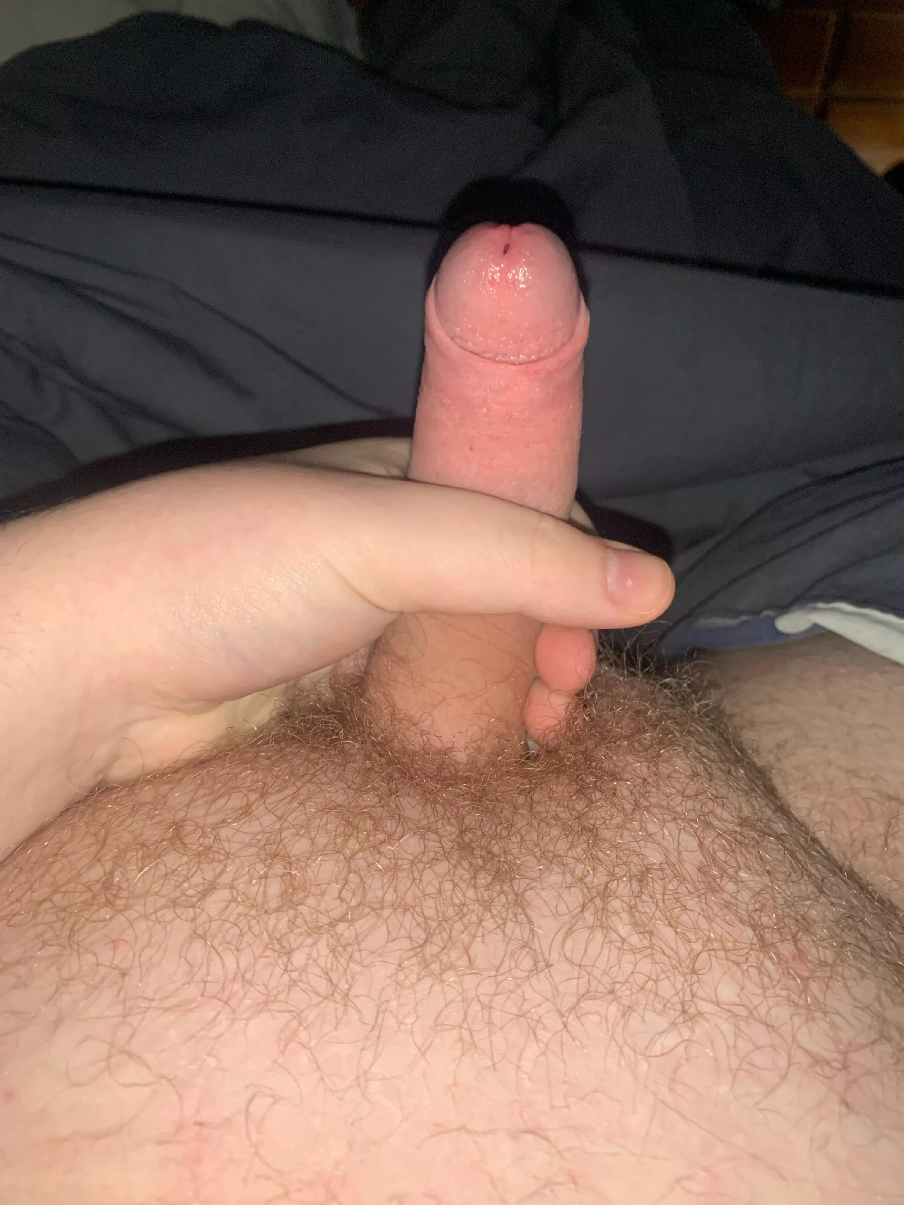 Morning wood