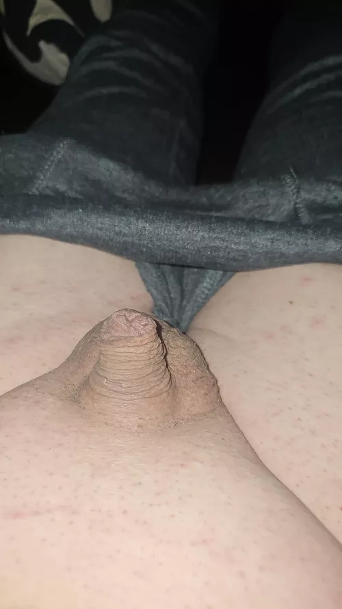 My small clitty 