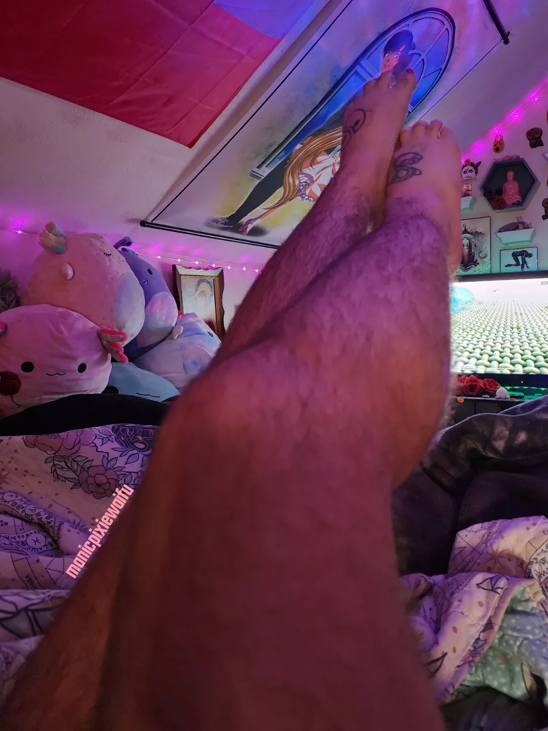 nothing better than a lazy morning in bed. shame there's no one here to rub my feet + legs 😮‍💨