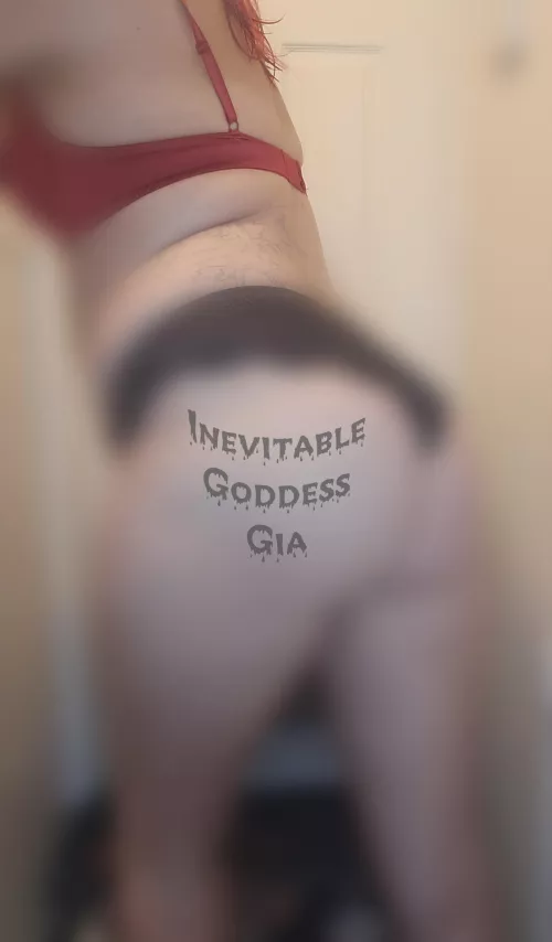 Only heavily blurred photos of my fat ass for you betas