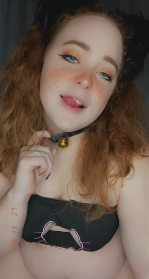 [P2P] come onnnn let’s play🥺😩 pics, vids, sexting, GFE, dropbox(3,300+ items), panties, premium, OF, etc. KlK: ctrlr / SC: bunnybabesred