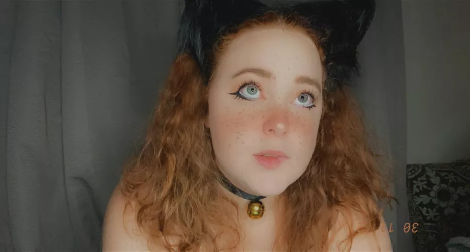 [P2P] do I get a treat?🧶🐱 pics, vids, sexting, GFE, dropbox(3,300+ items), panties, premium, OF, etc. KlK: ctrlr / SC: bunnybabesred