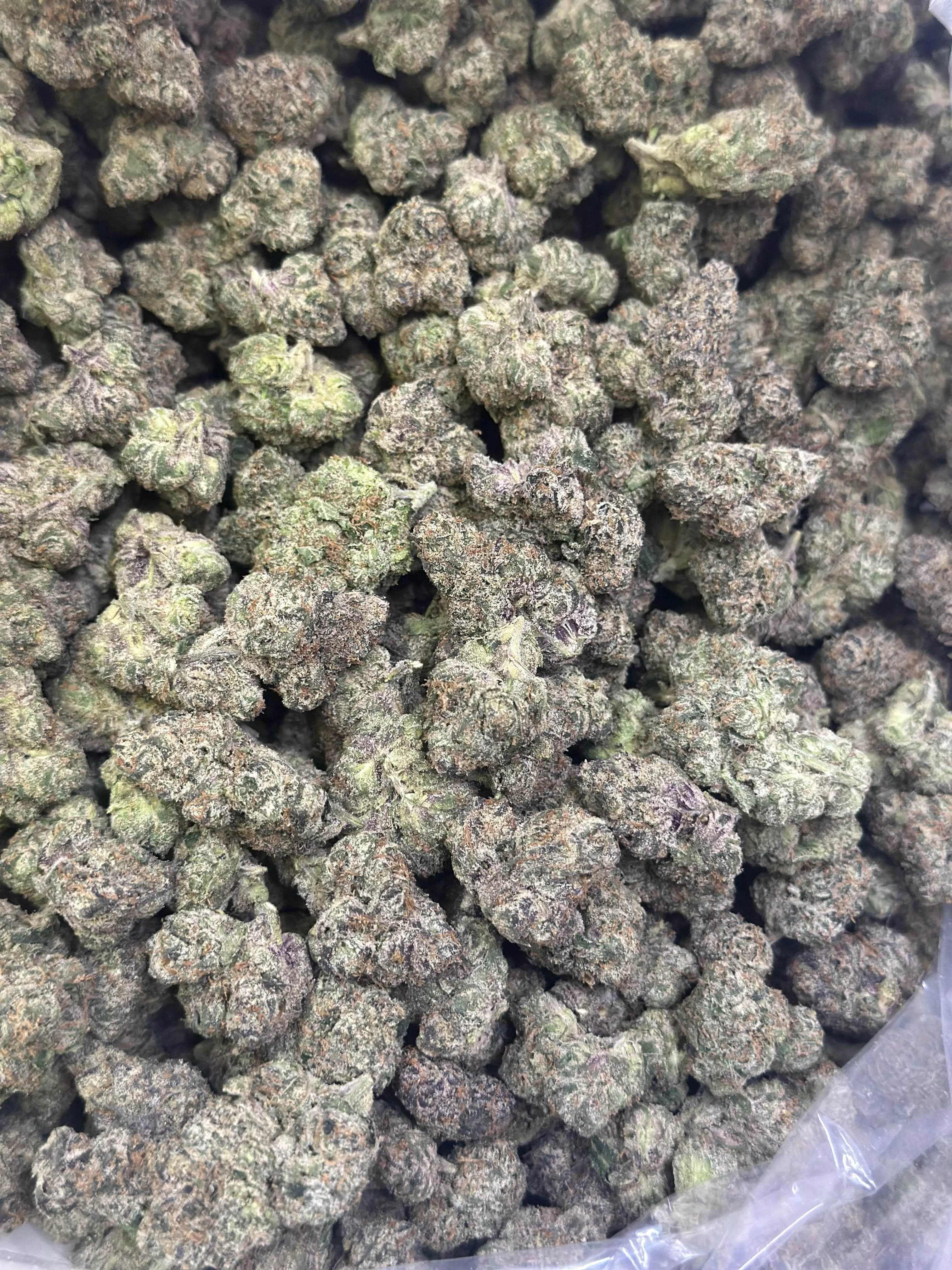 Permanent marker 🔥🔥 for the people 