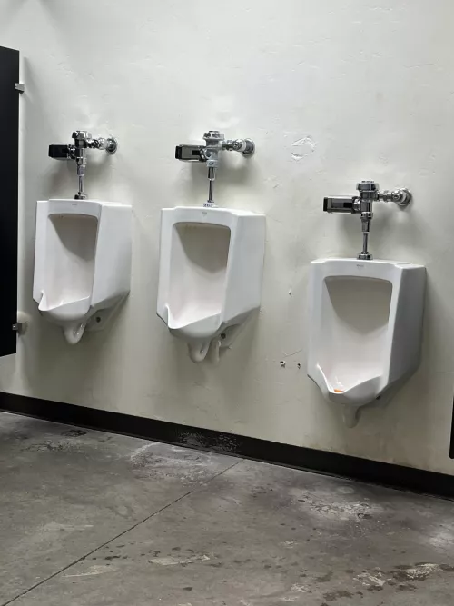 Pima County Fairgrounds. Tucson, AZ.