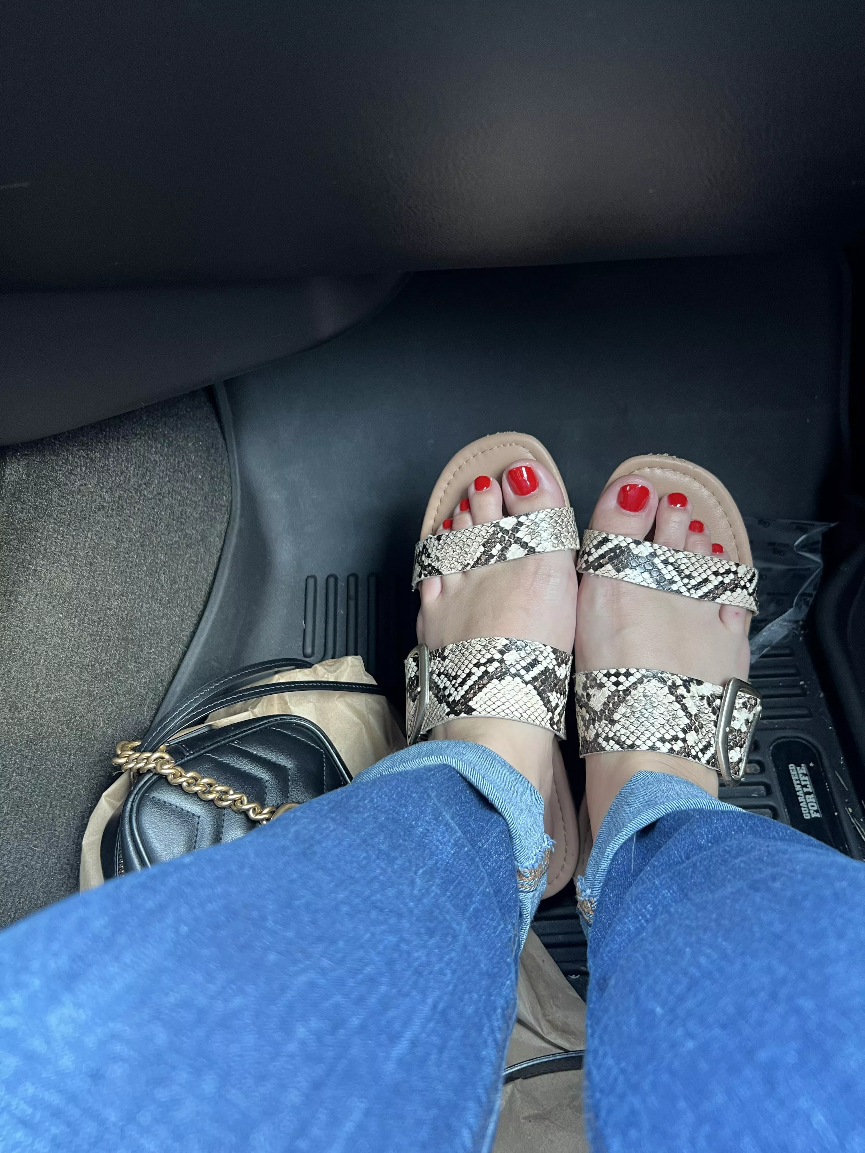 Red toes and faux snakeskin 🐍