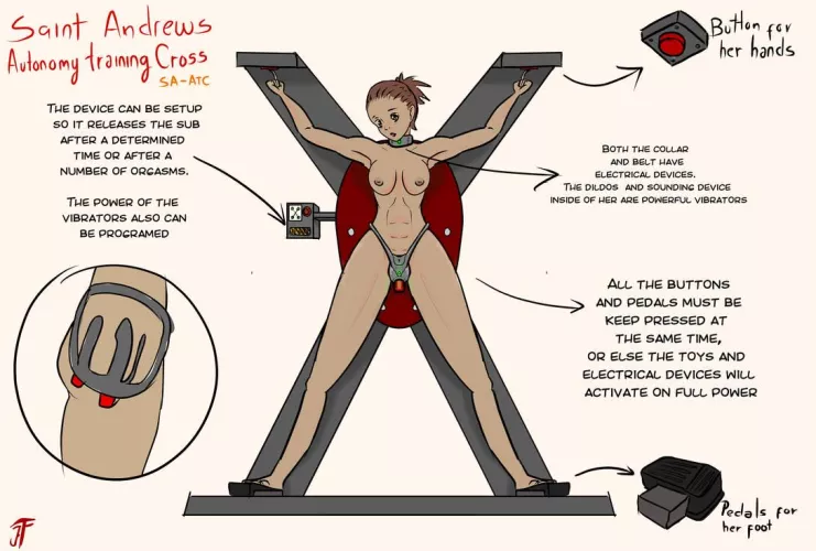 Saint Andrews autonomy trainer