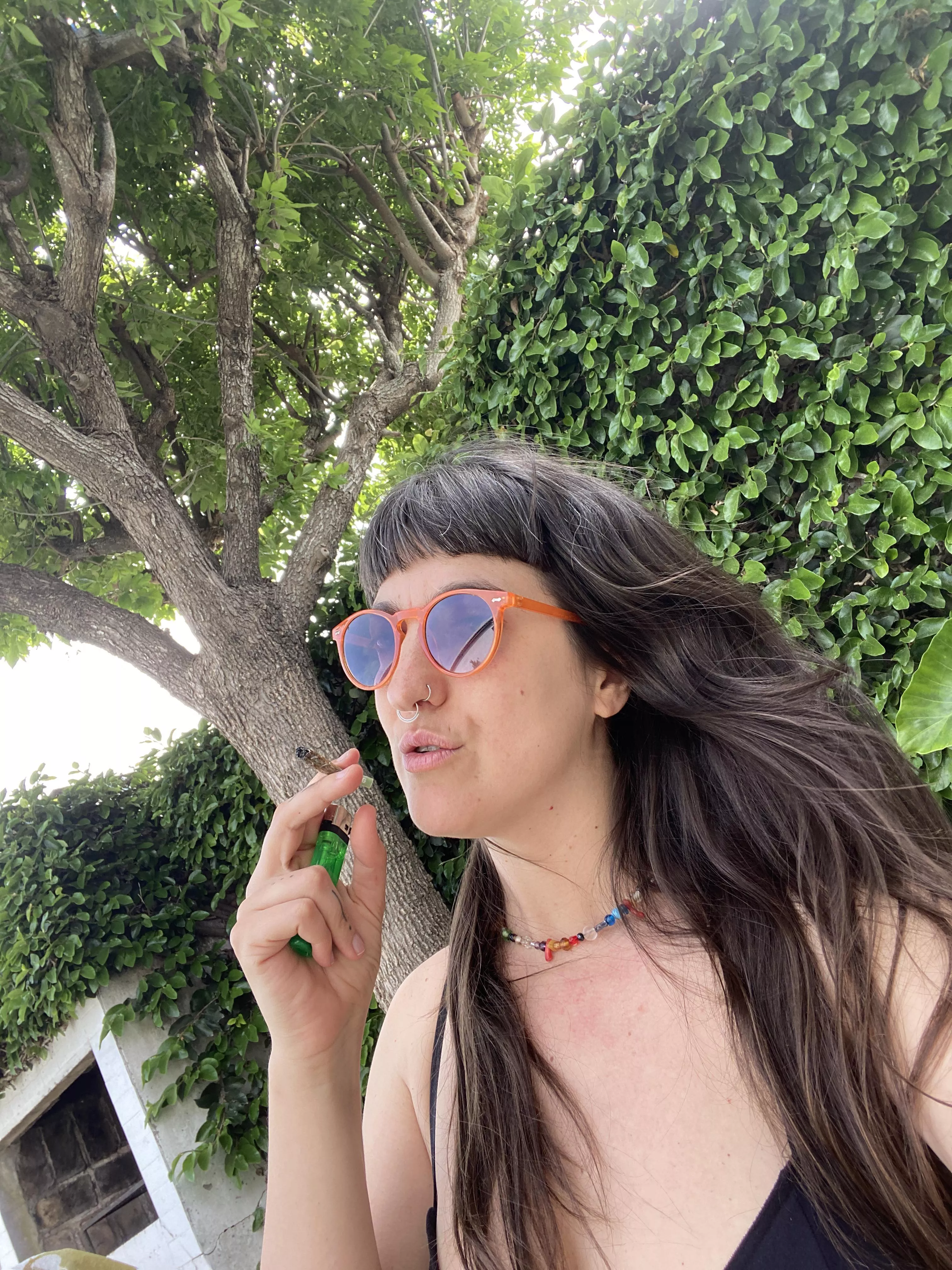 say hello to your new favorite stoner