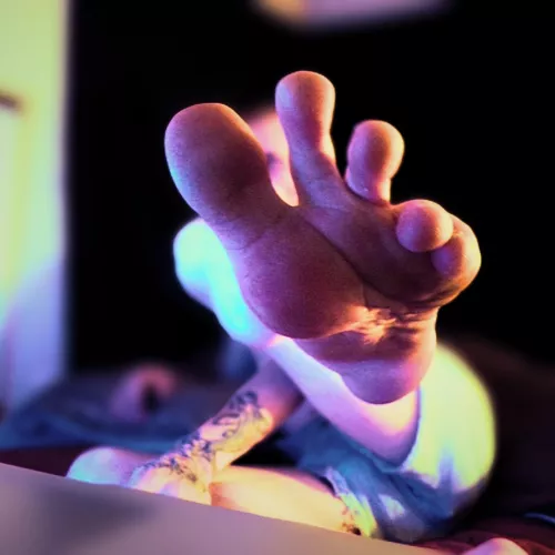 Suck Them, Fuck Them or Nut on Them. 😈