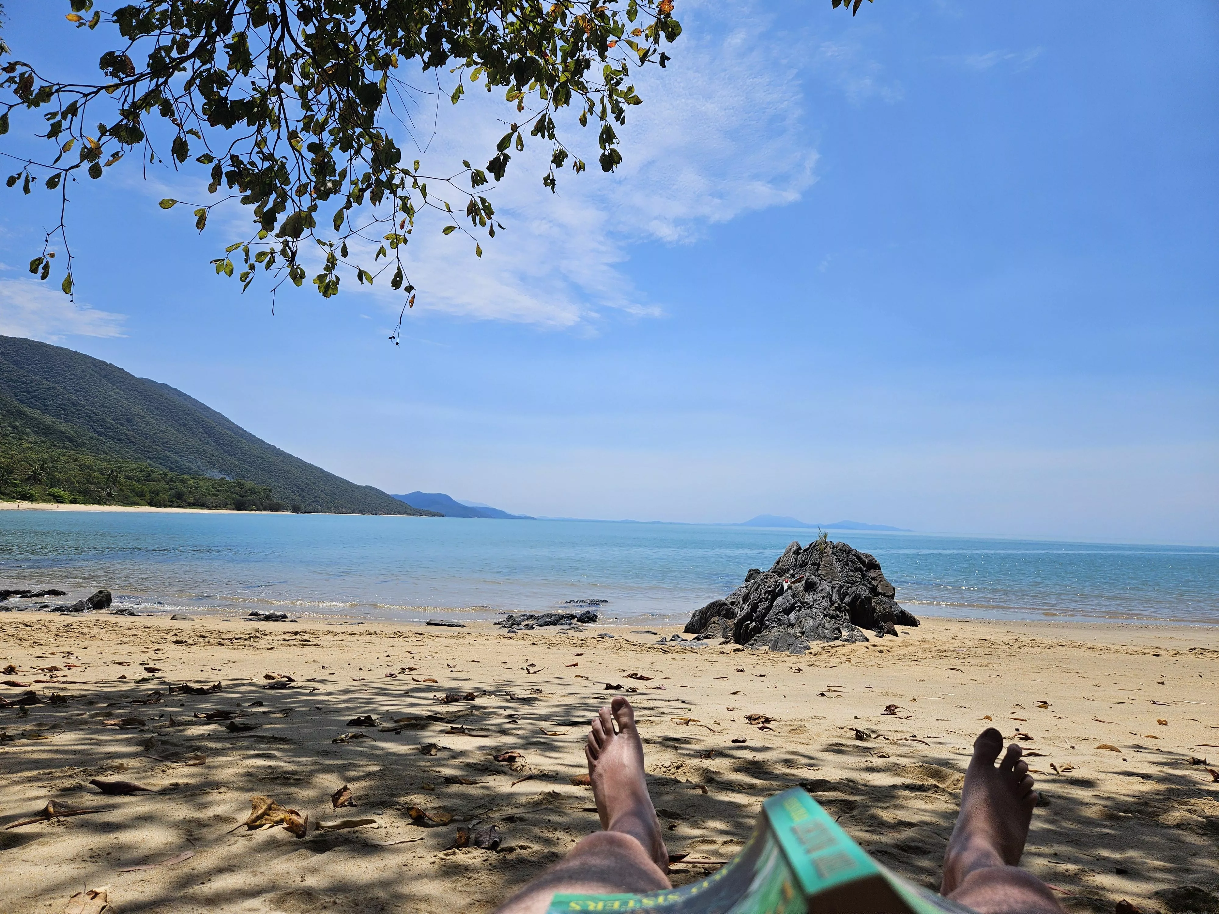 Sun's out, everything's out