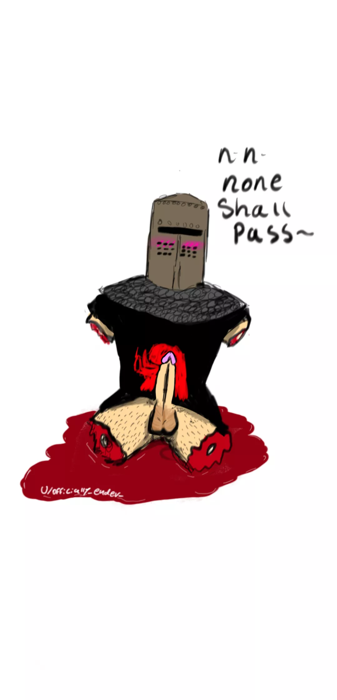 The black night [Monty Python and the holy grail] (u/officially_ender_)