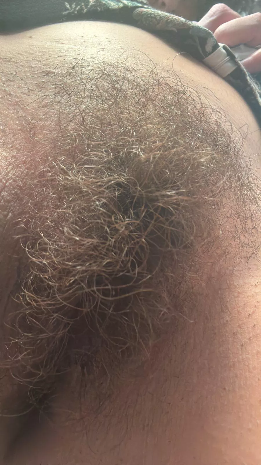 The garden needs watering