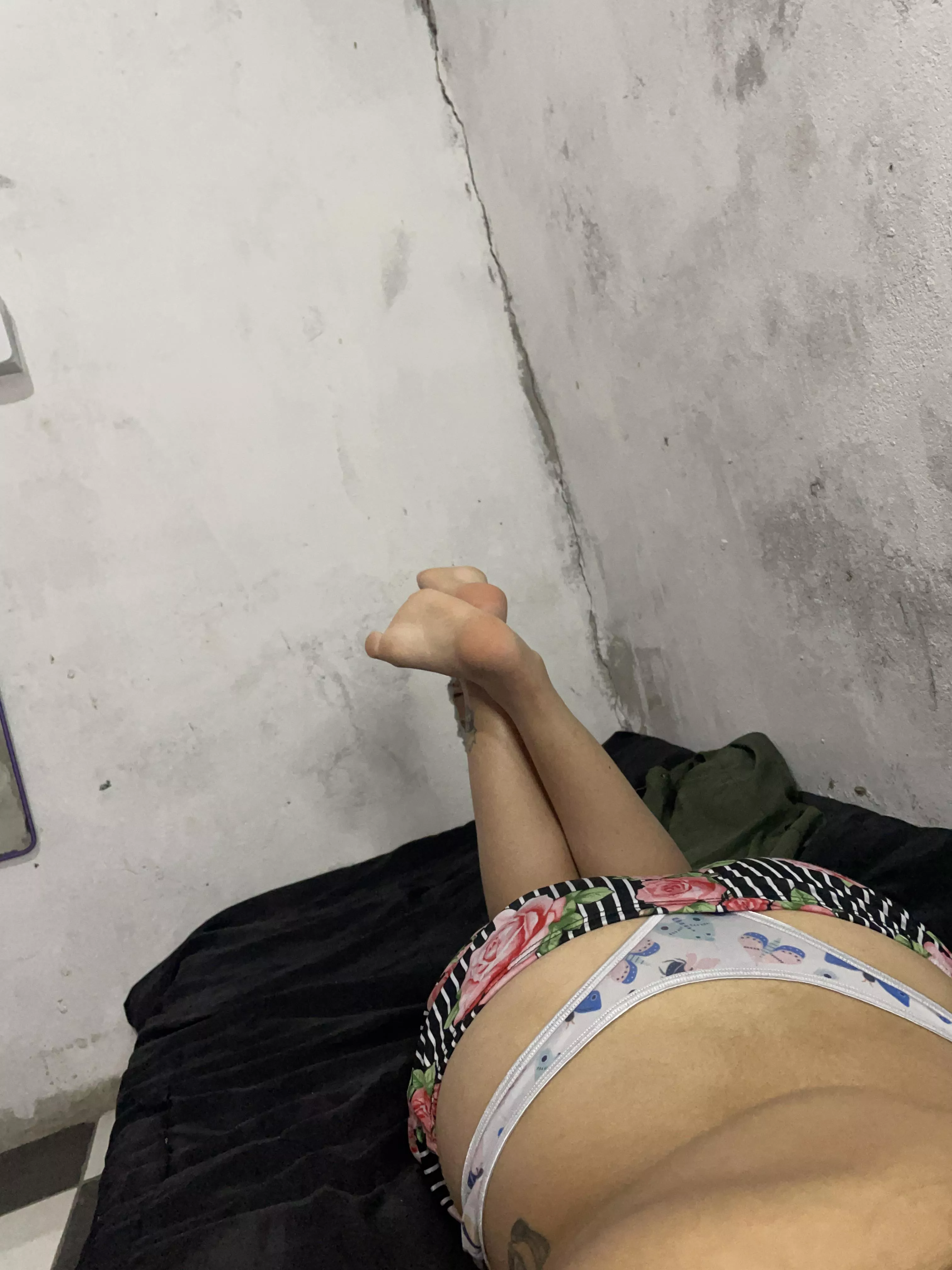 the tail covered and the back bare, what do you think? 