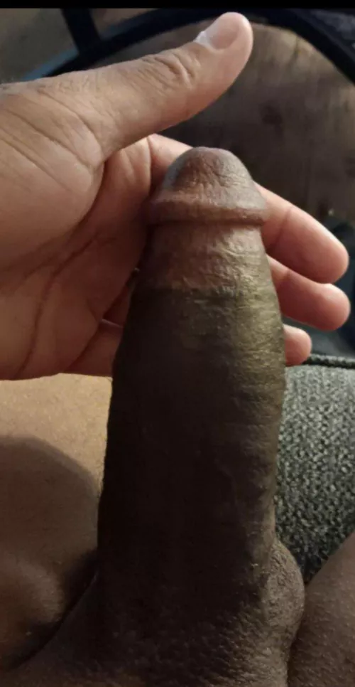 Thick Black Cock Looking For Fun 