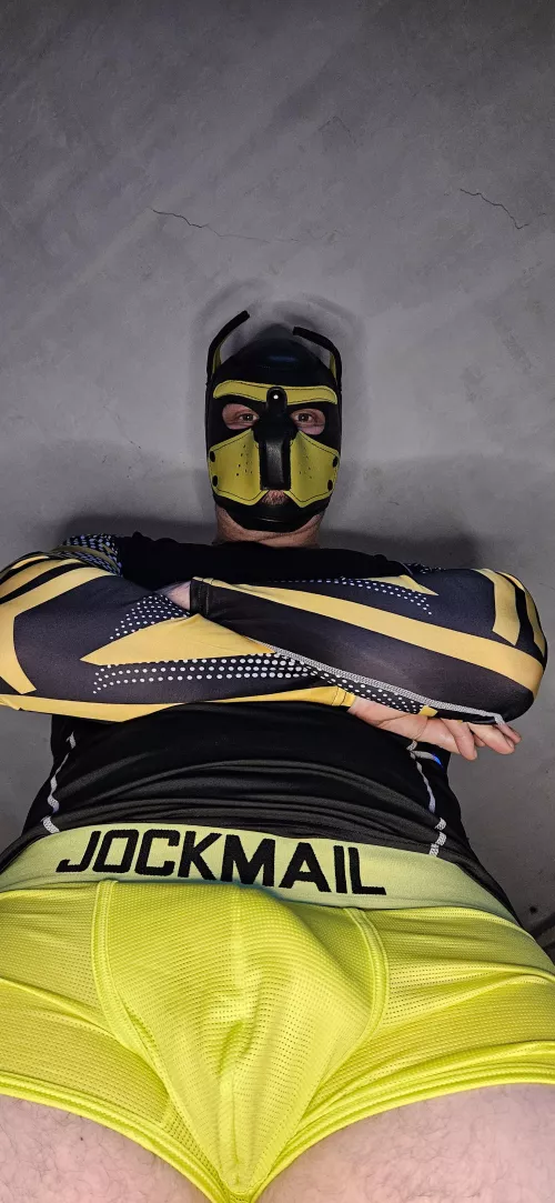 Think Found my alpha side...