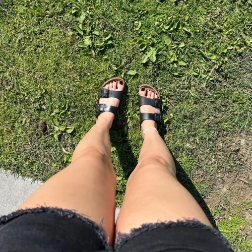 Thoughts on my Birks 