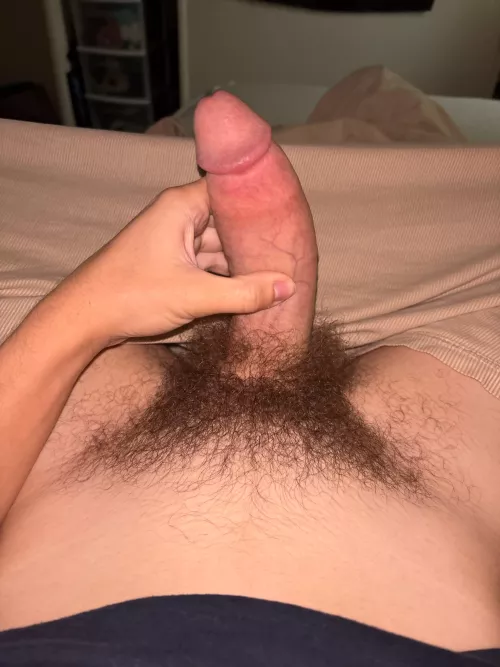 Thoughts on the bush?