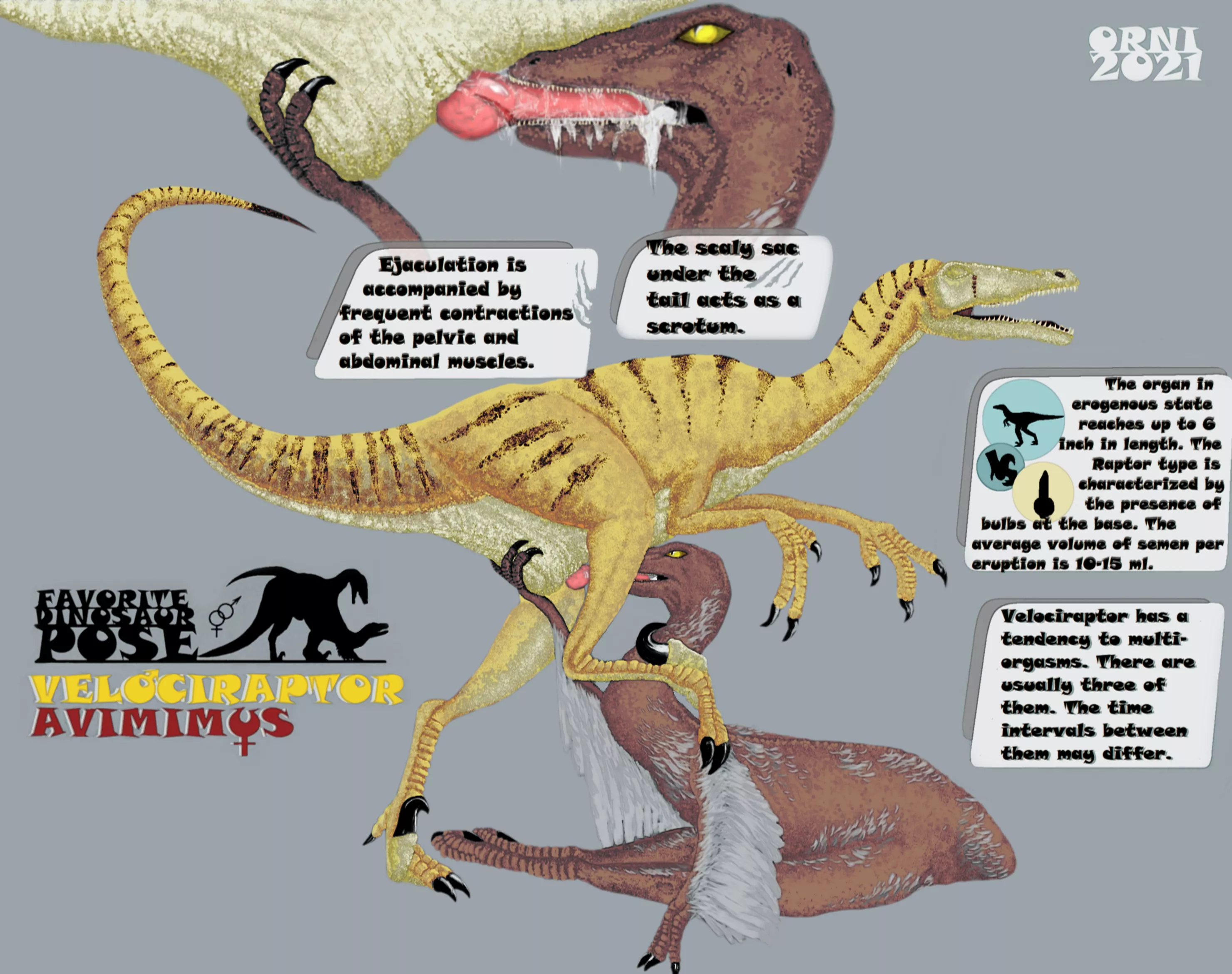Velociraptor & Avimimus (Orni) [Favorite Dinosaur Pose]