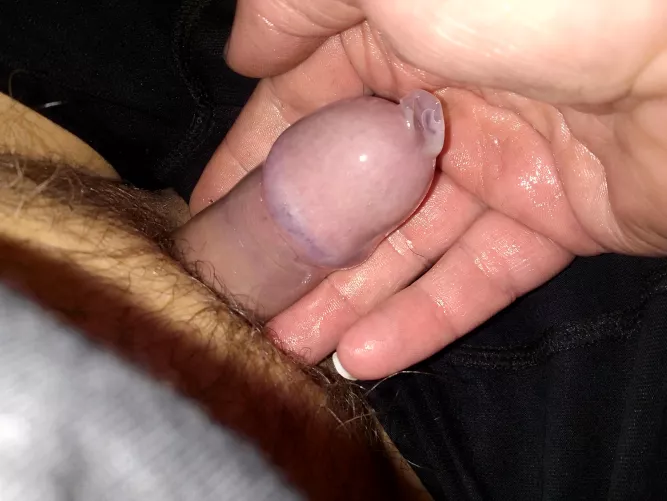 Well dressed cock [M]