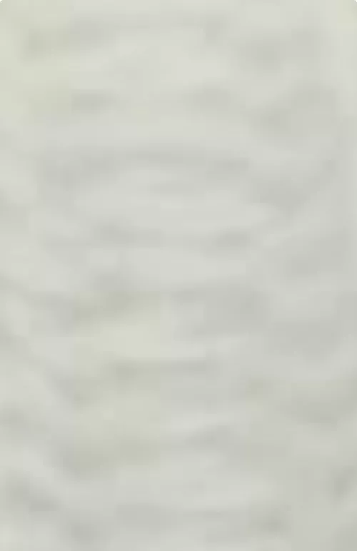 What is this stitch?