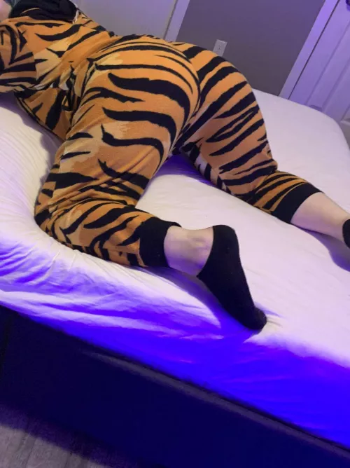 What's everyone doing tonight 