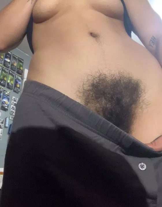 where are the bush fans at?