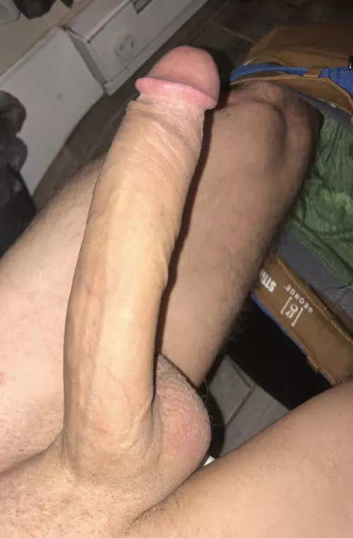 Who wants to get stuffed?