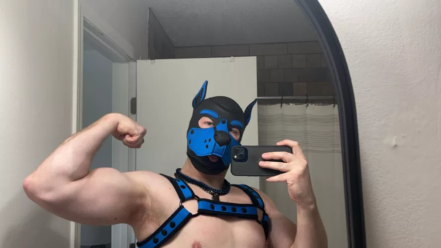 Who wants to join me and pup out this weekend? 