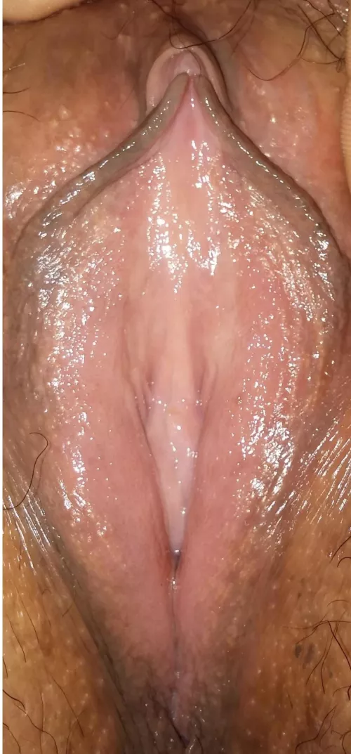 Wife's Wet Mexican Pussy