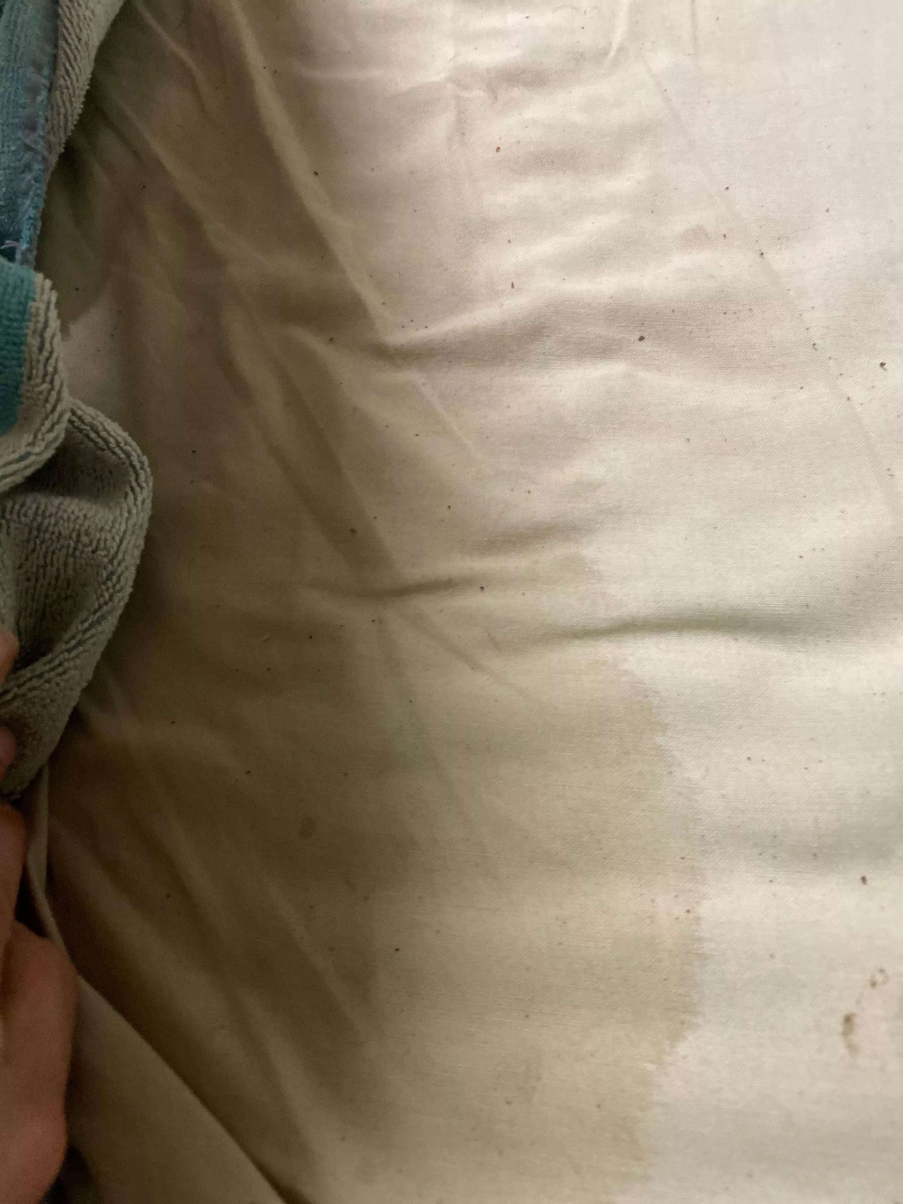 Woke up and had soaked the bed last night