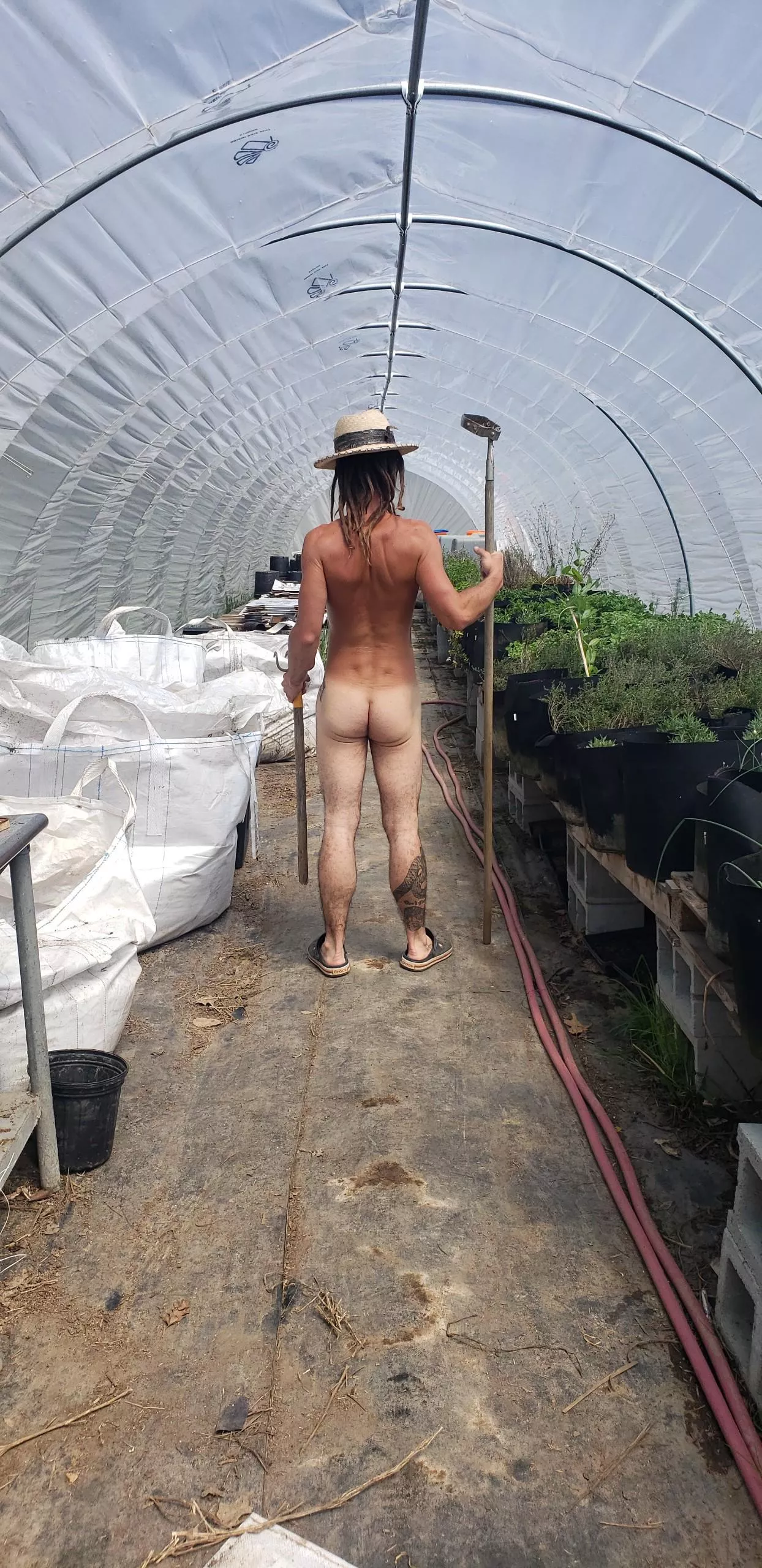 Working in the hoop house