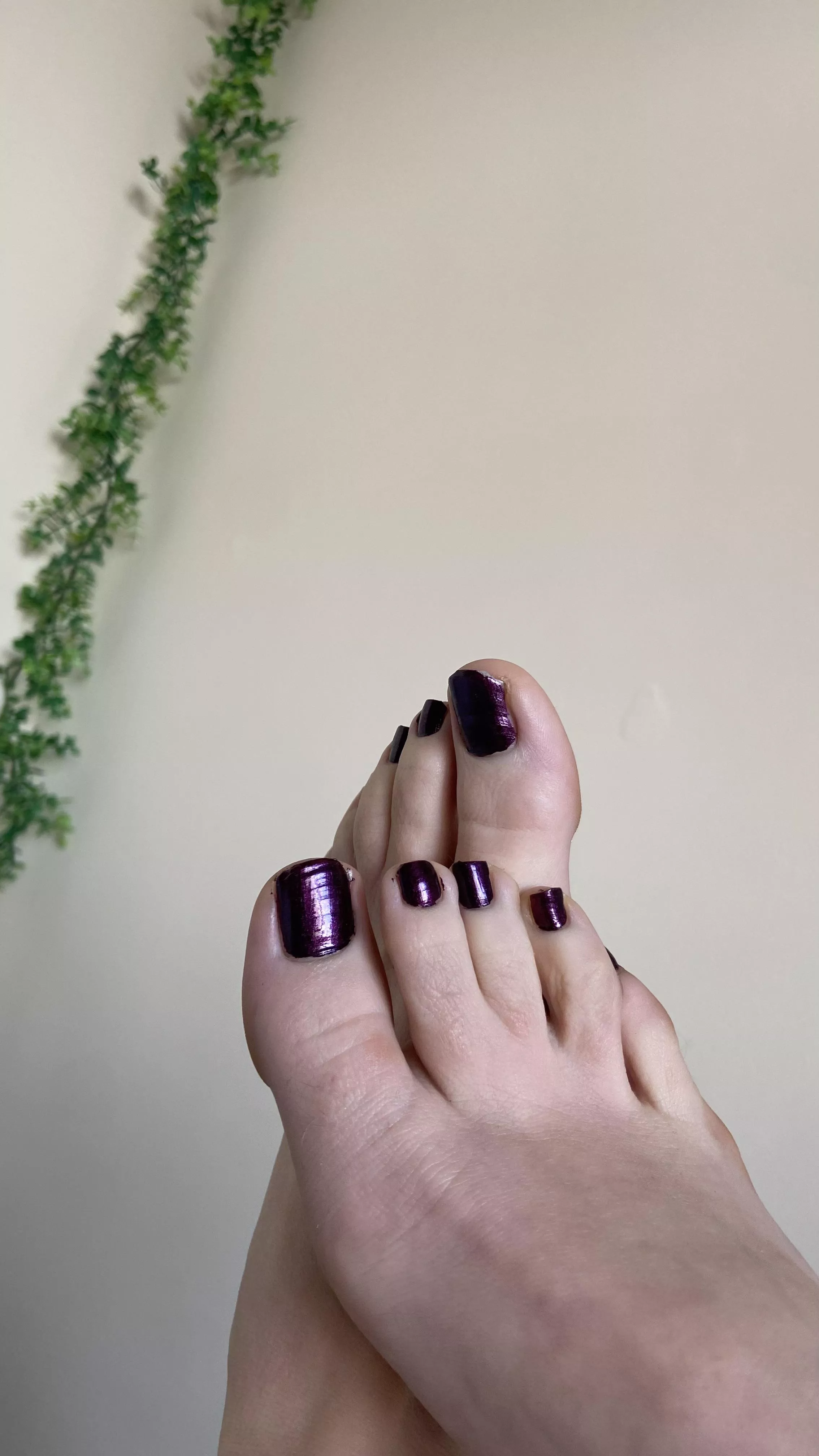 Would you like to buy my pics?