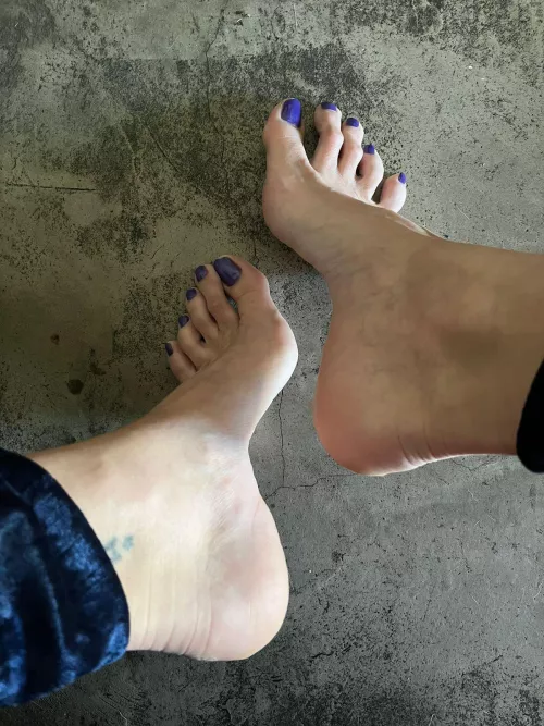 Would you like to play for a while?