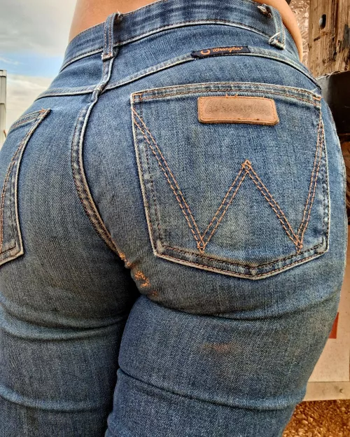 Wranglers are perfection...