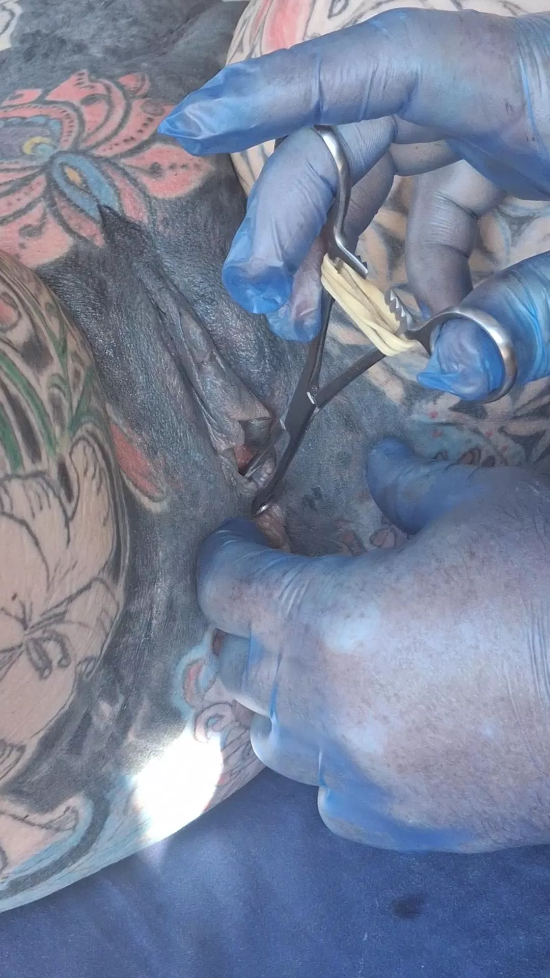 You can see the whole video of it being done over here https://fansly.com/piercedntattooed or the pics here https://onlyfans.com/piercedntattooed