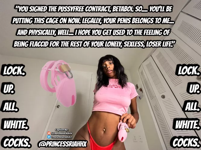 You signed the contact.