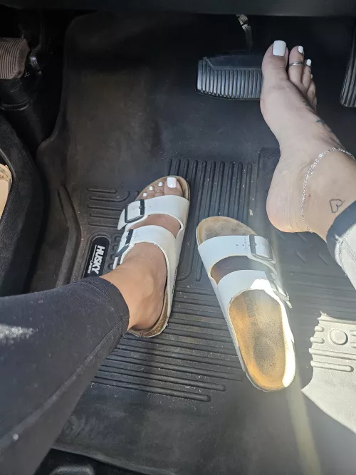 Yummy white Arizonas 