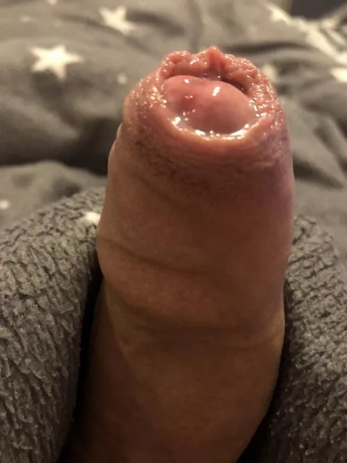 19 M wet foreskin 