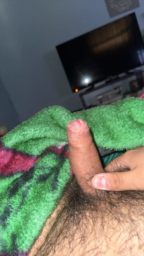 19 M4F Wauchula