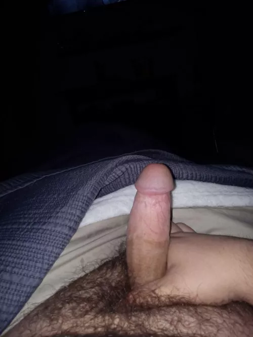 21M4A Looking for local young FWB or someone to breed. Spanish Fort. 