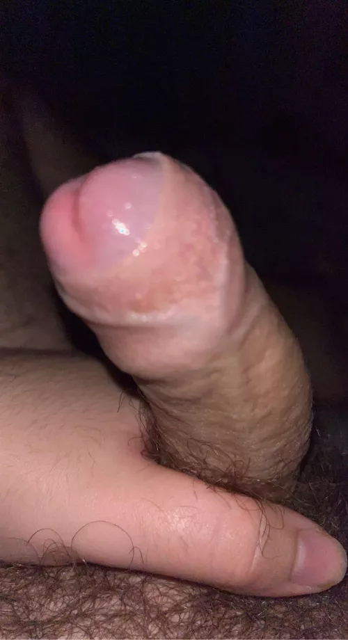 22 morning wood wish I had someone here to deal with it kik is preownedgamer2