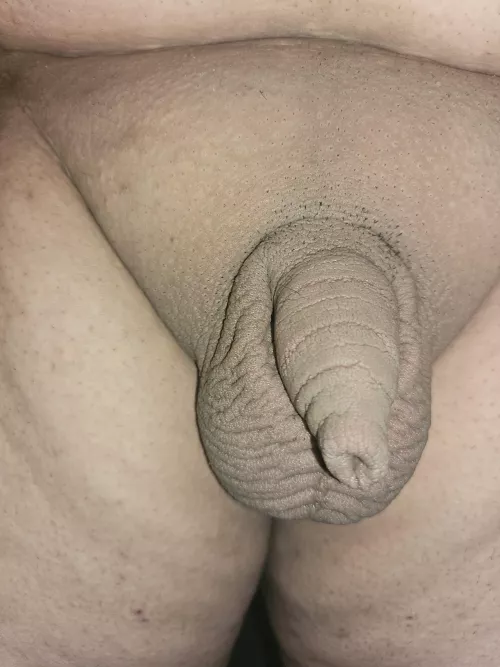 [23] small cock here