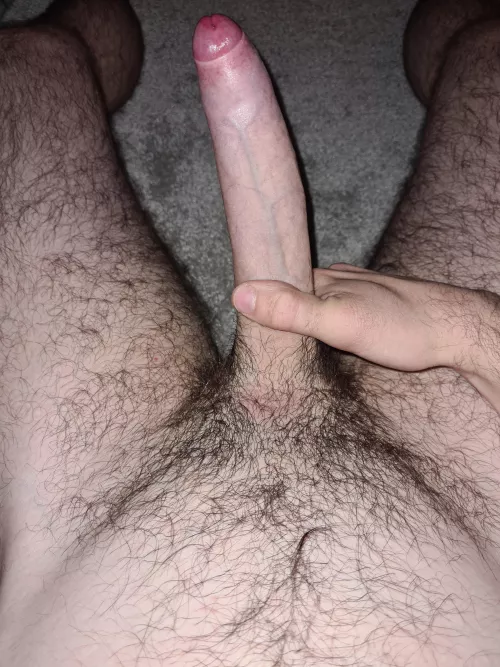 26 Starting to think there just isn't anyone to meet in Cornwall🤷‍♂️