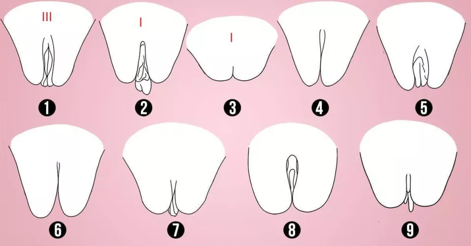 37 [M4F] 5 pussy's so far. What is your shape? Show me in a DM