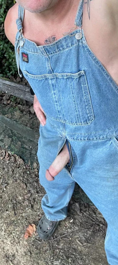 53 Need a East coast farm hand? 