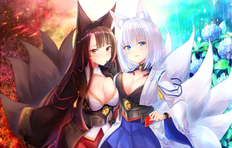 Akagi and Kaga