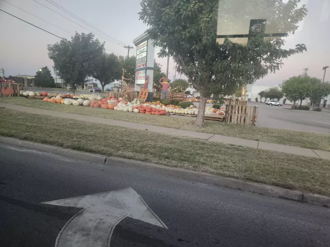 Alright y'all, just hear me out