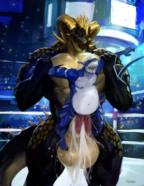 Another kind of Boxing Match